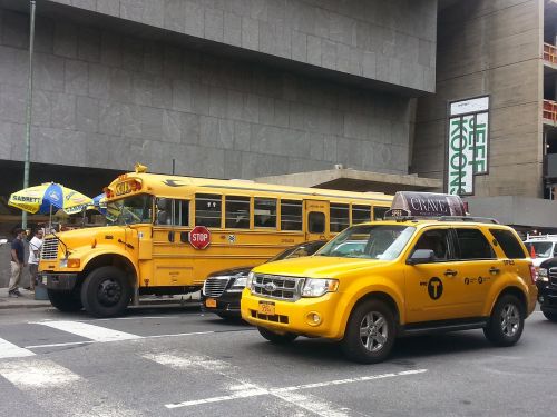 Niujorkas, Geltona, Taksi, Ònibus School