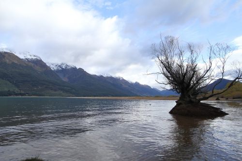 Naujoji Zelandija, Ežero Vaizdas, Vanduo Medį