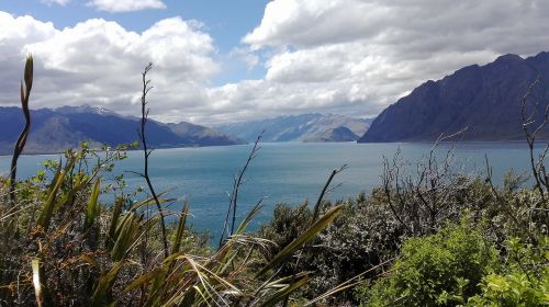 Naujoji Zelandija, Pietų Sala, Gamta, Vandenynas, Peizažai, Akmenys