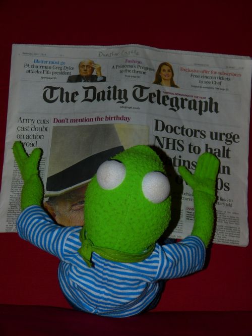 Laikraštis, Kermit, Varlė, Skaityti, Dienos Telegrafas, Lėlės, Anglų, Anglija, Jungtinė Karalystė