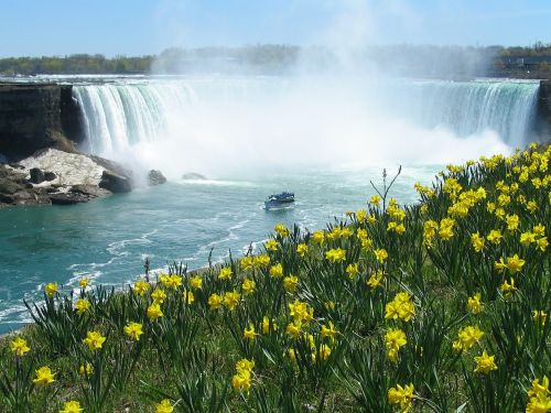 Niagaros Krioklys, Krioklys, Pasagos, Narcizai, Pavasaris, Turistinis, Niagara, Valtis, Tarnaitė, Atostogos, Ontarijas, Kanada