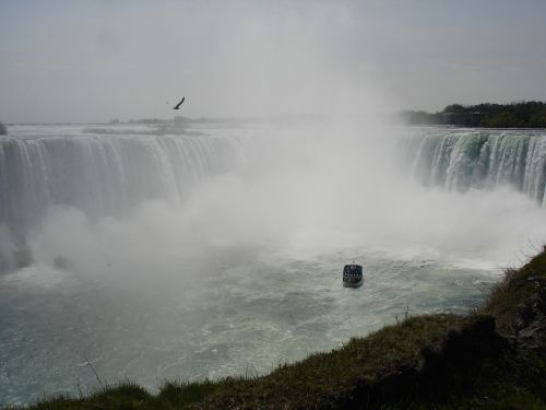 Niagara If, Kanada, Krioklys, Boot, Kajakas, Vanduo, Murmur, Putos, Riaumojimas, Kelionės Tikslas, Laivas, Vandens Masė, Upė, Milžiniškas, Purkšti, Gamta, Rokas, Niagara, Uolos, Vandens Siena, Sienos