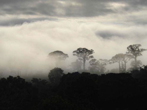 Niebla, Rytas, Kolumbija, Kraštovaizdis