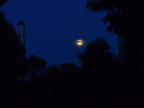 Naktis, Mėnulis, Nustatymas Mėnulis, Inky Dangus, Dangus, Tamsi, Rytas, Twilight