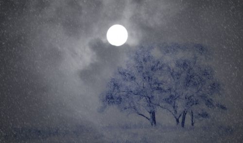 Naktis, Žiemą, Medžiai, Sniegas, Mėnulis, Sniegas, Sniego Gūsis, Schneestrum