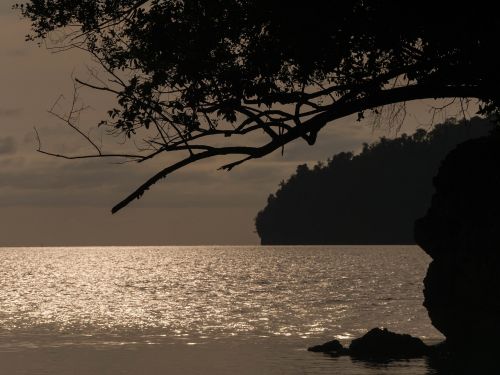 Naktis Jūra, Togean, Sala, Saulėlydis, Sulawesi, Indonezija