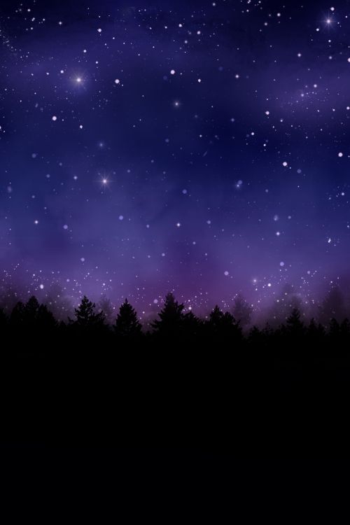 Naktis,  Žvaigždės,  Dangus,  Miškas,  Pušis,  Naktis & Nbsp,  Dangus,  Gilus & Nbsp,  Naktis,  Miško & Nbsp,  Naktį,  Mažėja & Nbsp,  Žvaigždės,  Naktinis Dangus Pušys