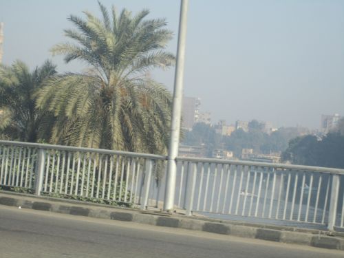 Nile,  Kairas,  Tiltas,  Palmių & Nbsp,  Medis,  Smogas,  Nile Kairo