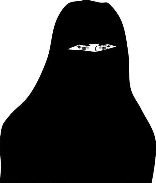 Niqab, Uždanga, Moteris, Gaubtu, Arabiškas, Islamas, Musulmonas, Žmonės, Asmuo, Apranga, Akys, Moterys, Nemokama Vektorinė Grafika