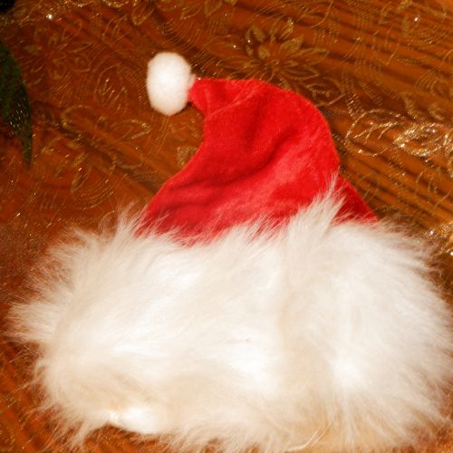 Skrybėlę,  Santa,  Puošimas,  Kalėdos,  Žiema,  Kalėdos 2015 (3)