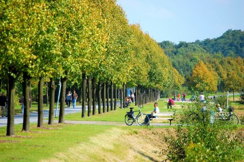 Nordsternpark, Gelsenkirchen, Buga, Ruhr Area, Industrinis Parkas, Vietos Poilsis