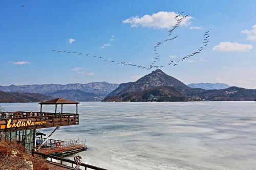 Šiaurės Han Upė, Žiema, Migruojantys Paukščiai, Peizažas
