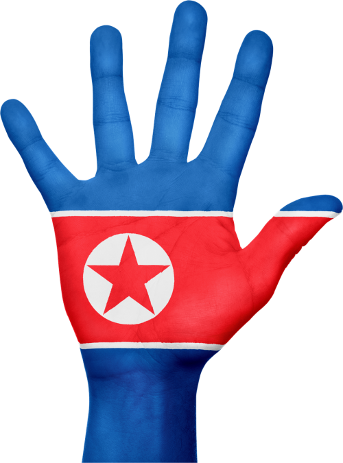 Šiaurės Korėja, Vėliava, Ranka, Šalis, Korėja, Patriotinis, Patriotizmas, Ženklas, Simbolis, Asija