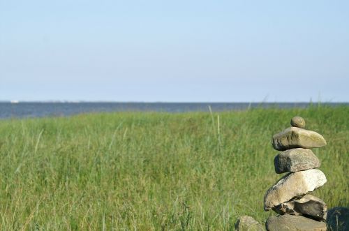 Šiaurės Jūra, Akmenys, Vatai, Wadden Jūra