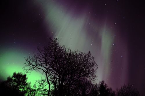 Šiaurės Pašvaistė, Aurora Polaris, Norvegija