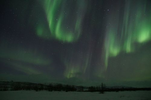 Šiaurės Pašvaistė, Švedija, Laplandas, Aurora Borealis, Saulės Vėjas, Šviesos Reiškinys, Aurora, Žvaigždėtas Dangus