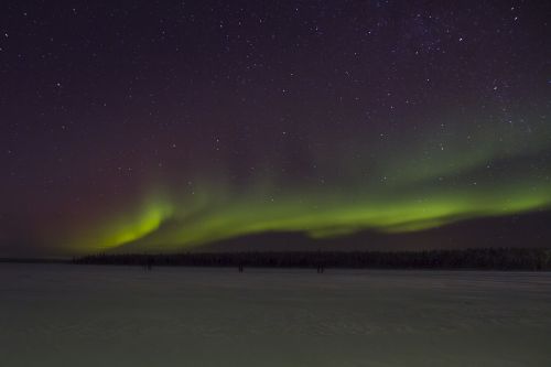 Šiaurės Pašvaistė, Finland, Laplandas