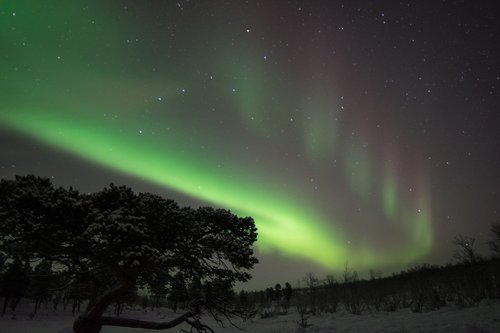 Šiaurės Pašvaistė,  Švedija,  Naktis,  Dangus,  Žiemos,  Aurora