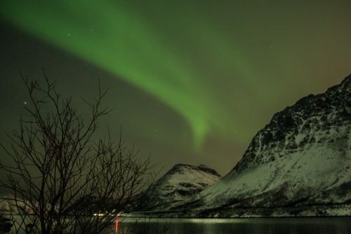Norvegija, Laplandas, Aurora Borealis, Žvaigždė, Naktinis Polaris, Fjordas