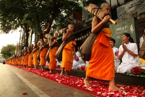 Naujokas, Budistams, Vaikščioti, Rožių Žiedlapiai, Tailandas, Tradicija, Ceremonija, Žmonės, Oranžinė, Drabužiai, Wat, Phra Dhammakaya, Šventykla, Dhammakaya Pagoda, Daugiau Nei, Milijonai, Budhas, Auksas, Budizmas