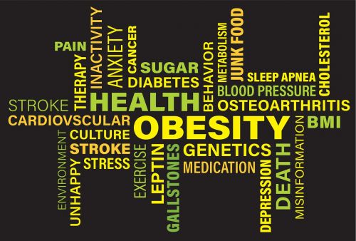 Nutukimas,  Sveikata,  Fitnesas,  Nustatyti,  Liga,  Simptomai,  Apibūdinimas,  Internetas,  Dienoraštis,  Stresas,  Žodis,  Žodžiai,  Debesis,  Be Honoraro Mokesčio