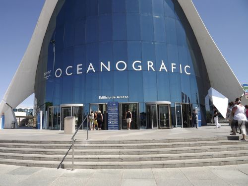 Okeanografija, Valensija, Muziejus, Žuvis, Jūra