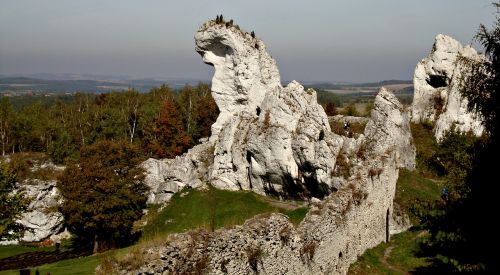 Ogrodzieniec, Lenkija, Jura Krakowsko-Czestochowa, Peizažai, Akmenys, Alpinizmas, Gamta