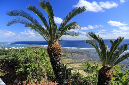 Okinawa, Mėlyna Jūra, Cikas, Giedras Dangus, Vasara, Natūralus, Mėlynas, Mėlynas Dangus, Gamta