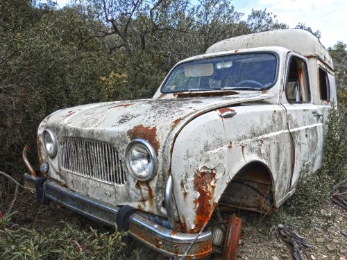 Senas Automobilis, Paliktas, Renault F4, Rusvas, Piktžolių