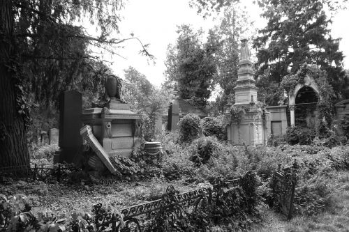 Senosios Žydų Kapinės, Vienna, Sunaikintos Kapinės, Juodai Baltas Vaizdas