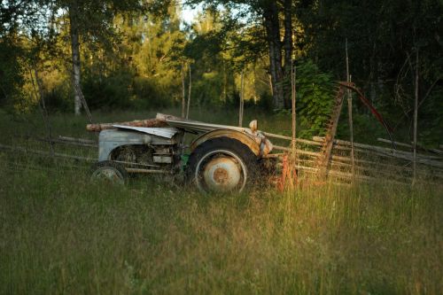 Senas Traktorius, Traktorius, Žemdirbystė, Tvora, Vasara, Švedija