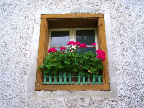 Senas Langas, Geranium Old Window, Senas Namas, Gėlės