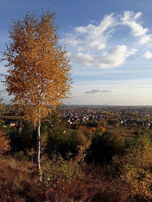 Olkusz, Lenkija, Medis, Kraštovaizdis, Ruduo