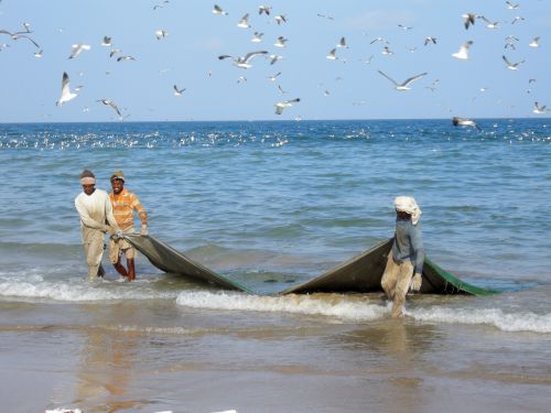 Oman,  Persijos Įlanka,  Indijos Vandenynas,  Žvejai,  Žvejyba,  Svečiai Žvejams