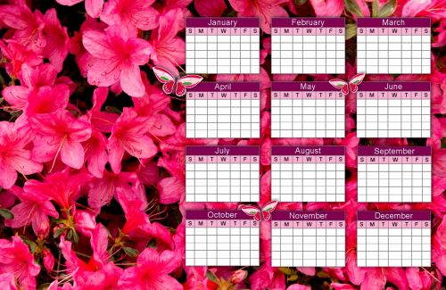 Atidarykite & Nbsp,  Metų & Nbsp,  Kalendorių,  Kalendorius,  Gėlių & Nbsp,  Kalendorius,  Gėlių & Nbsp,  Kalendorius,  Raudona & Nbsp,  Gėlė & Nbsp,  Kalendorius,  Drugelis & Nbsp,  Kalendorius,  Atvirų Metų Kalendorius