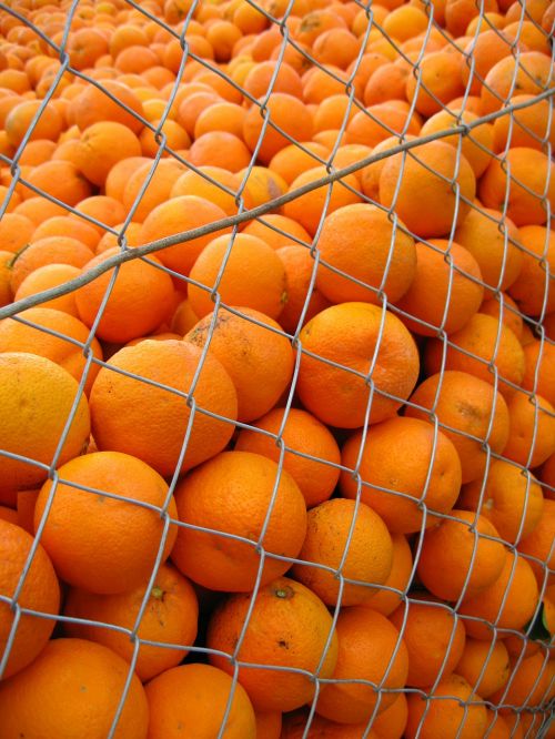 Oranžinė, Ispanija, Saulėtas, Apelsinai, Citrusiniai, Vitaminai, Vaisių Rinka, Vaisiai, Saldus, Spalvinga, Šviežias