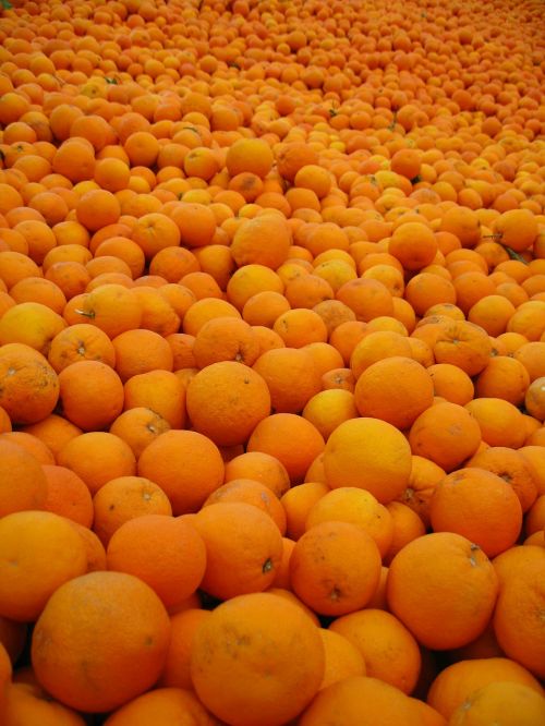 Oranžinė, Ispanija, Saulėtas, Apelsinai, Citrusiniai, Vitaminai, Vaisių Rinka, Vaisiai, Saldus, Spalvinga, Šviežias