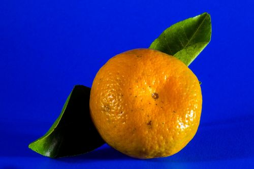 Oranžinė, Mandarinas, Vaisiai, Citrusinis Vaisius