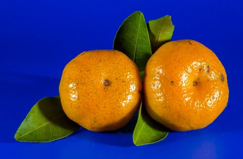 Oranžinė, Mandarinas, Citrusinis Vaisius