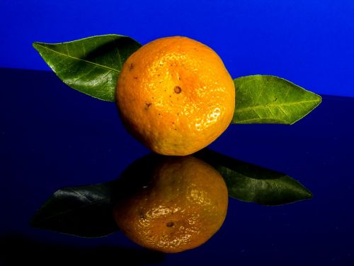 Oranžinė, Mandarinas, Citrusinis Vaisius