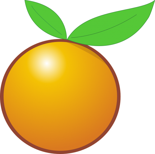 Oranžinė, Vaisiai, Citrusiniai, Sveikas, Greipfrutas, Mandarinas, Apelsinų Sultys, Atogrąžų, Nemokama Vektorinė Grafika