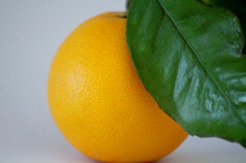 Oranžinė, Filialas, Vitamino C, Vaisiai, Sveikas
