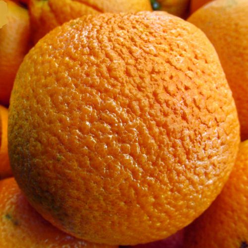 Oranžinė,  Apelsinai,  Iš Arti,  Fonas,  Makro,  Tekstūra,  Sveikas,  Vaisiai,  Gamta,  Atogrąžų,  Vitaminas & Nbsp,  C,  Oranžinė Arti