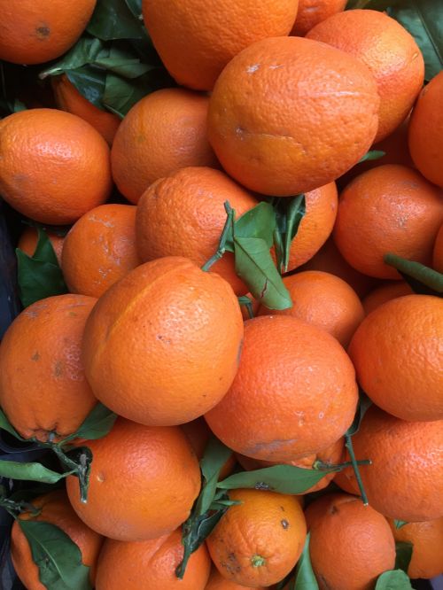 Apelsinai, Vaisiai, Drėgnas, Sveikas, Vitaminai, Vitamino C, Ūkininkų Vietos Rinka, Citrusiniai Vaisiai, Skanus, Prinokę, Vaisių, Ekologiškas Produktas