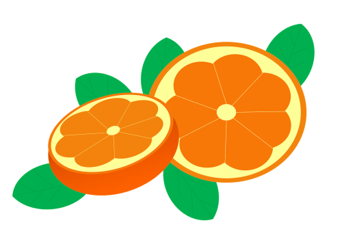 Apelsinai, Oranžinė Įlanka, Citrusinių Sinensis, Citrusiniai, Vaisiai, Vitaminai, Sultingas, Griežinėliais, Sveikas, Maistas, Iliustracijos