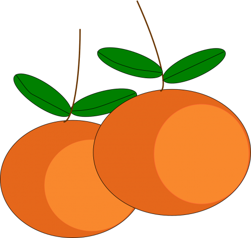 Apelsinai, Vaisiai, Citrusiniai, Prinokę, Sultingas, Vitaminai, Saldus, Skanus, Nemokama Vektorinė Grafika