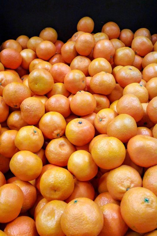 Apelsinai, Oranžinė, Uždaryti, Vaisiai, Gamta, Juodas Fonas, Vitaminai, Maistas, Augalas, Gražus, Mini Oranžinė