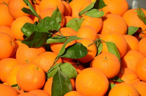 Apelsinai, Vaisiai, Citrusinis Vaisius, Ūkininkų Vietos Rinka