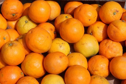 Apelsinai, Oranžinė, Citrusinis Vaisius, Vaisiai, Vitamino C, Citrusiniai Vaisiai, Sveikas, Ūkininkų Vietos Rinka, Gamta, Prekystalis, Frisch, Saldus, Vaisiai, Sultingas