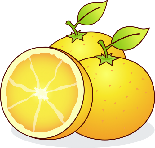 Apelsinai, Bahia Oranžinė, Citrusinių Sinensis, Citrusinis Vaisius, Vaisiai, Oranžinė, Vitaminai, Sultingas, Griežinėliais, Sveikas, Maistas, Nemokama Vektorinė Grafika